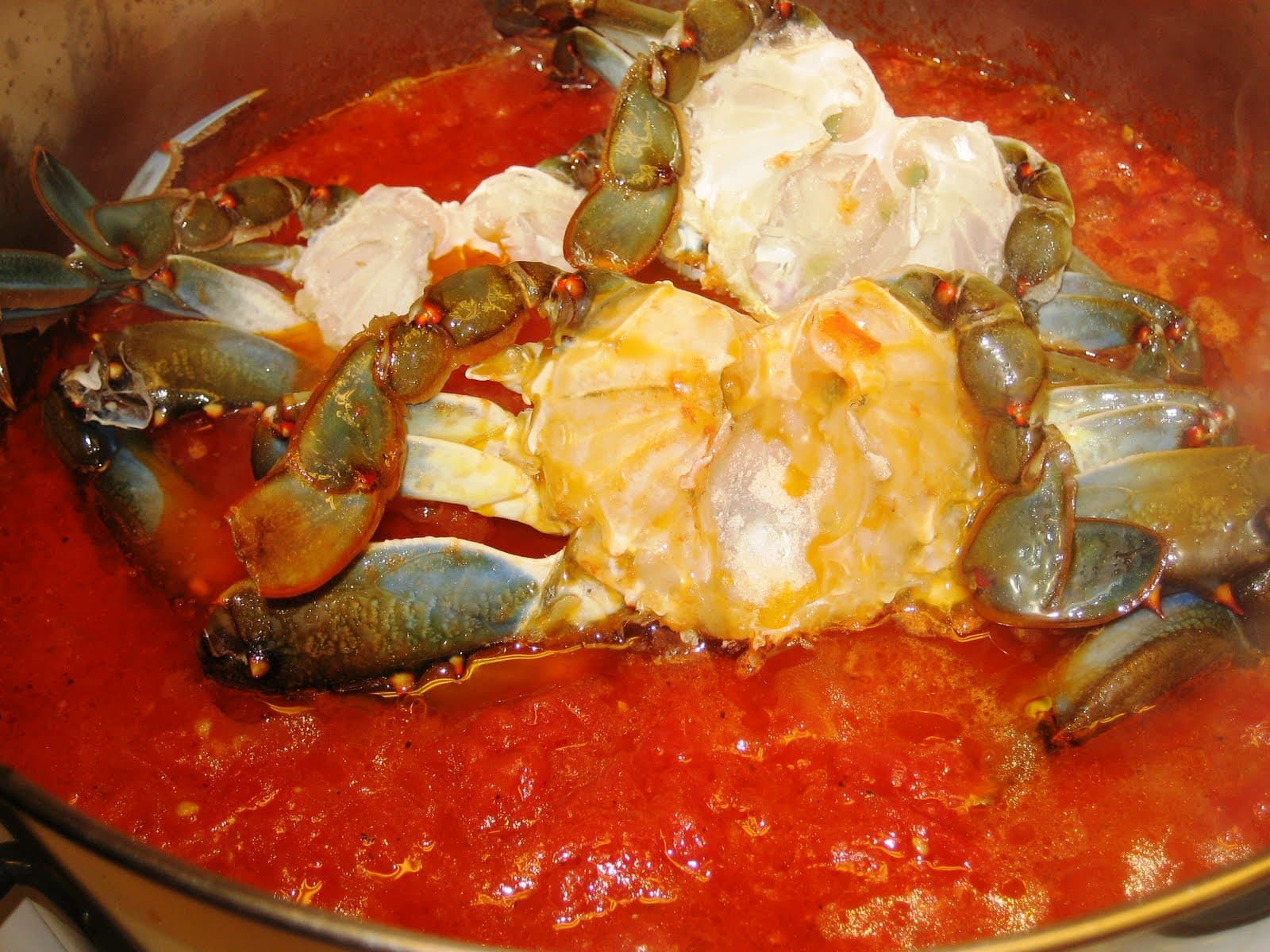 Fish & Chips with a Runway View: KMVY Martha's Vineyard