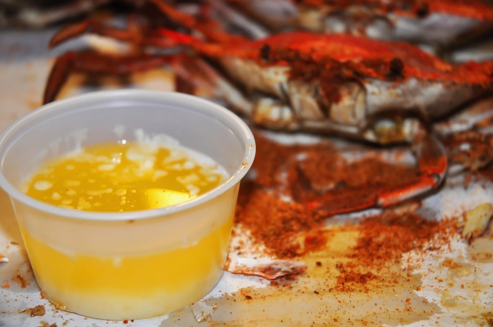 Steamed Maryland blue crabs with drawn butter and Old Bay